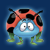 Beetle Mania